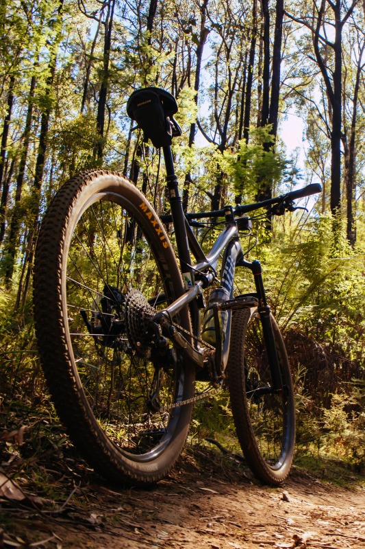 Fahrradverleih 3 mountainbike 1