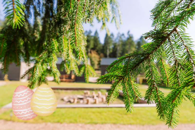 5.4.2026: Ostersonntag im Naturcamp – Familienzeit im Wald 2 Ostern im Naturcamp Lenkgrund