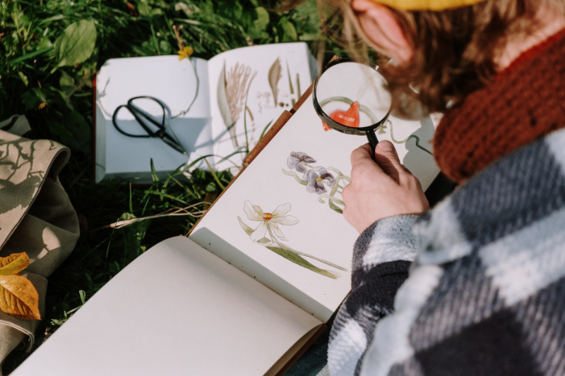 Angebote 7 Wald Kreativ