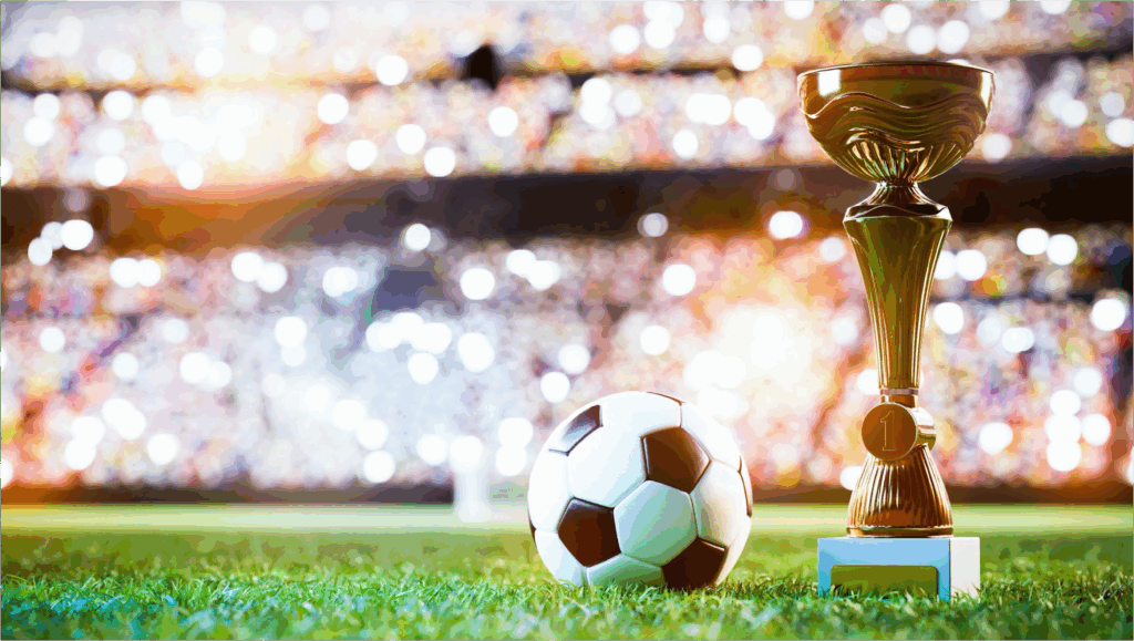 Angebote 14 Fussball WM