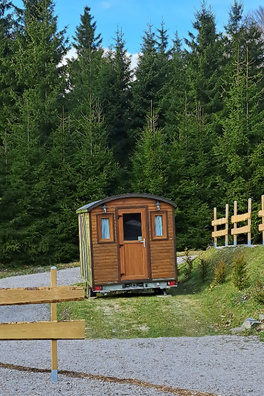Wald Peterle aussenvorn mobil